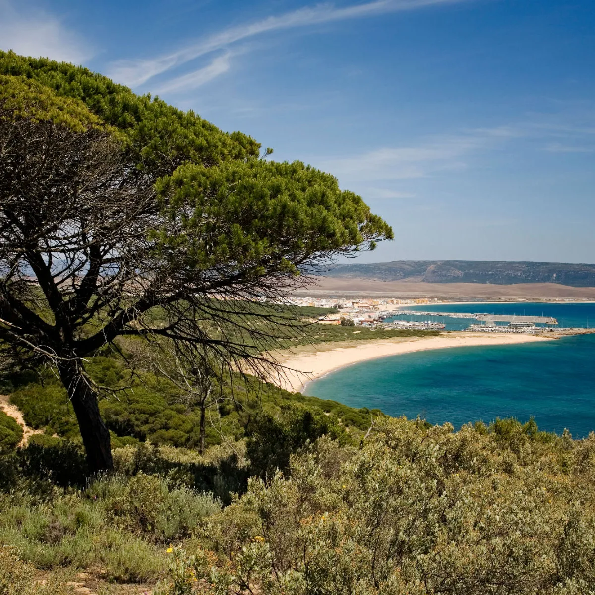 Parque Natural de la Breña y Marismas del Barbate