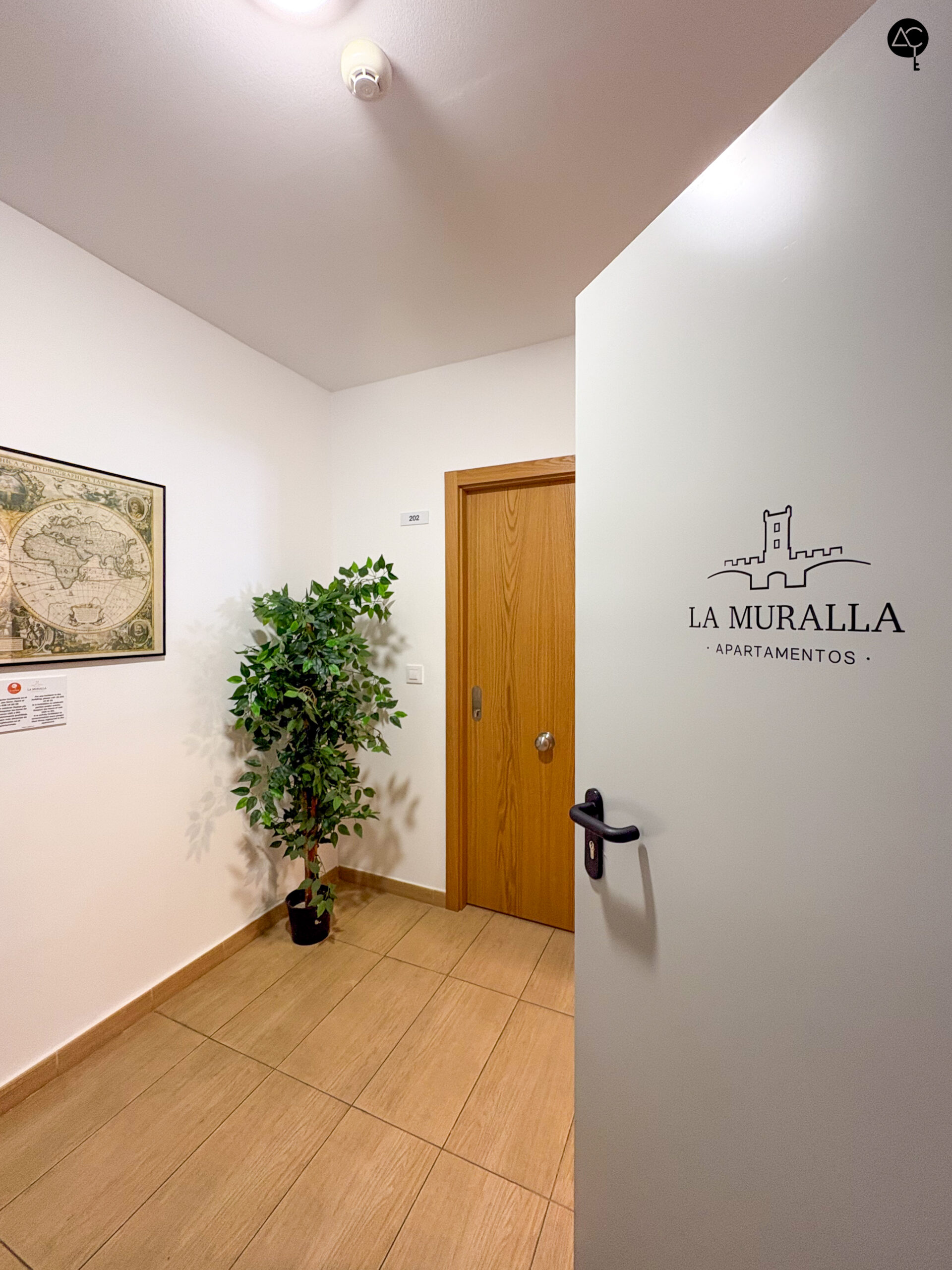 Distribuidor de apartamentos La Muralla en Cádiz, puerta de incendios y puerta de entrada a un apartamento, hall decorado con una planta verde.
