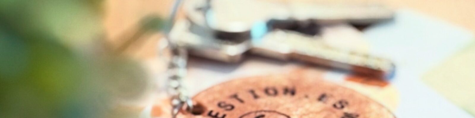llavero de AC gestión en primer plano