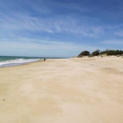 Playa Ballena