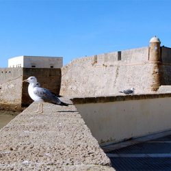 Castillo Santa Catalina