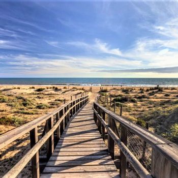 Rota costa ballena Ac Gestión Cádiz